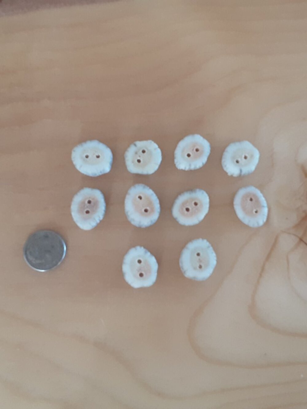 Set of 10 Handcrafted Authentic Mule Deer Antler Buttons